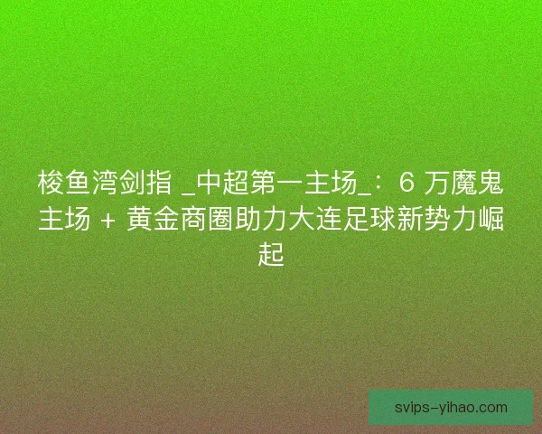 梭鱼湾剑指 _中超第一主场_：6 万魔鬼主场 + 黄金商圈助力大连足球新势力崛起